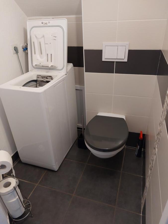 Les Dauphins Apartment Saint-Romain-de-Jalionas ภายนอก รูปภาพ