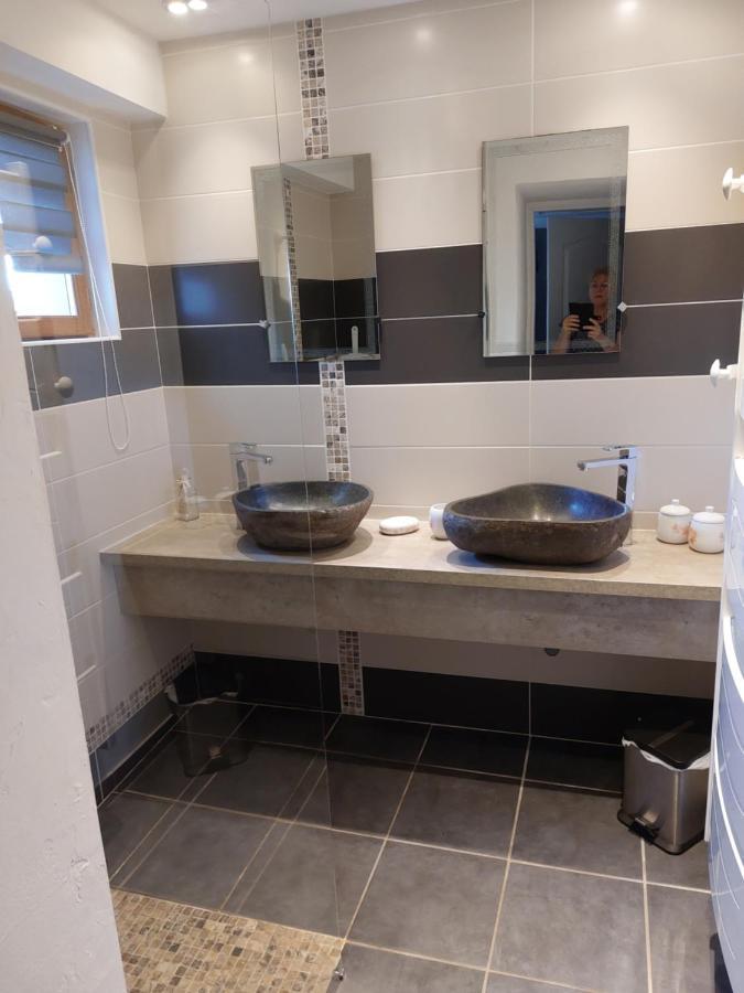 Les Dauphins Apartment Saint-Romain-de-Jalionas ภายนอก รูปภาพ