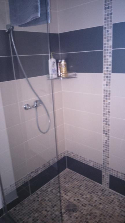 Les Dauphins Apartment Saint-Romain-de-Jalionas ภายนอก รูปภาพ
