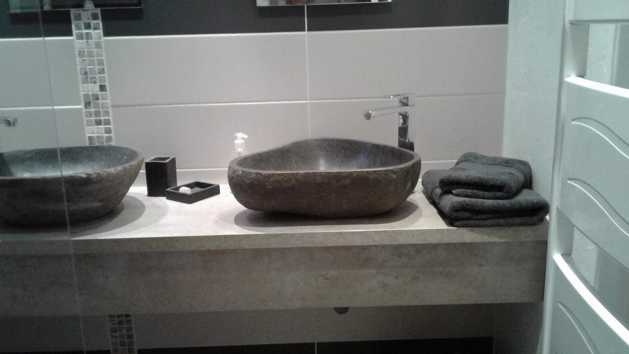 Les Dauphins Apartment Saint-Romain-de-Jalionas ภายนอก รูปภาพ