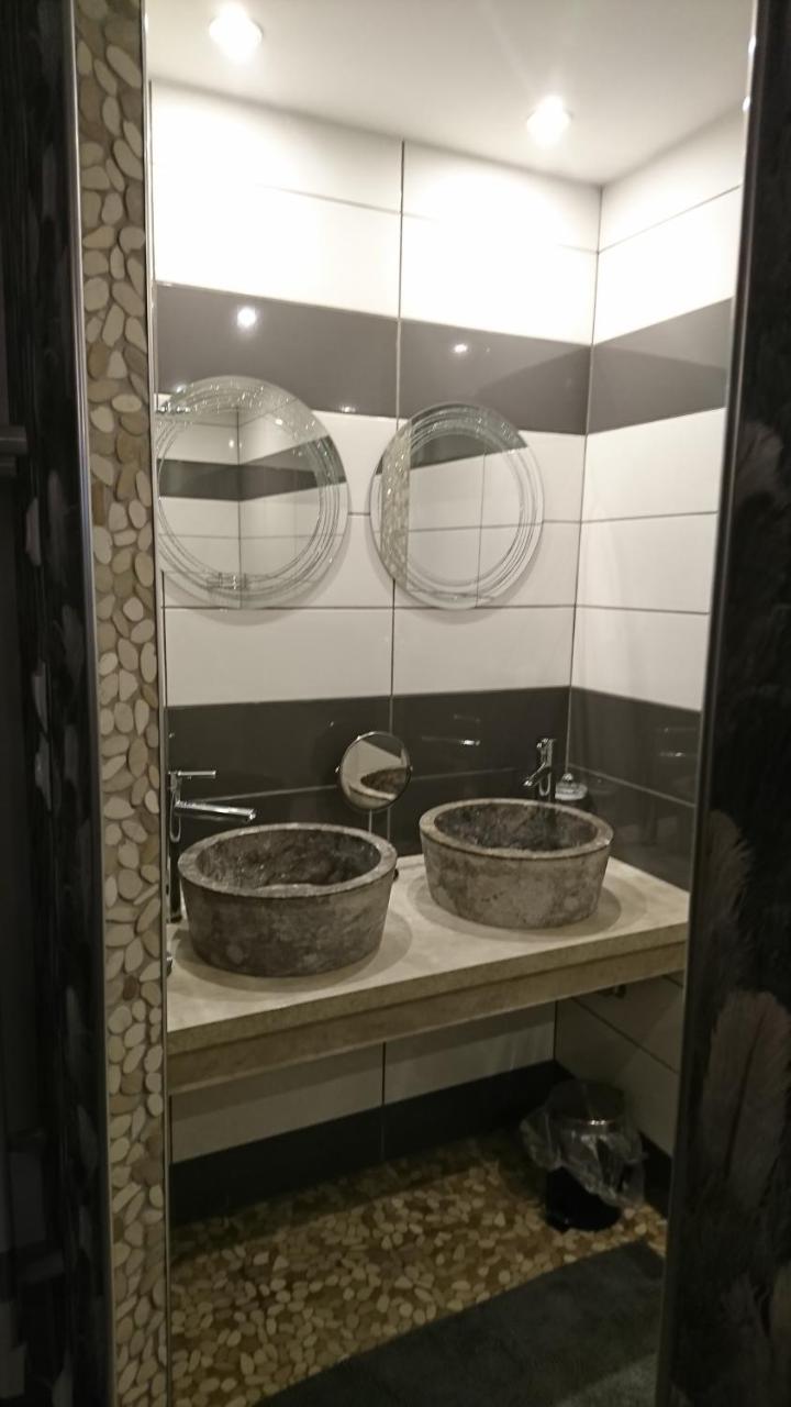 Les Dauphins Apartment Saint-Romain-de-Jalionas ภายนอก รูปภาพ